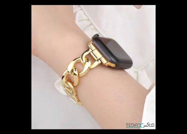 خرید اینترنتی بند اپل واچ فلزی حلقه بزرگ برند سلیکتو مناسب برای اپل واچ سایز 42/44/45